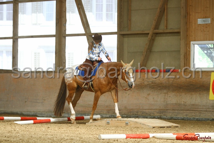 26-ApHC GT_199.jpg